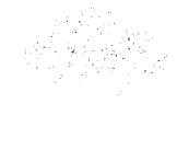 Rewild